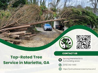 Top Rated Tree Service in Marietta, GA