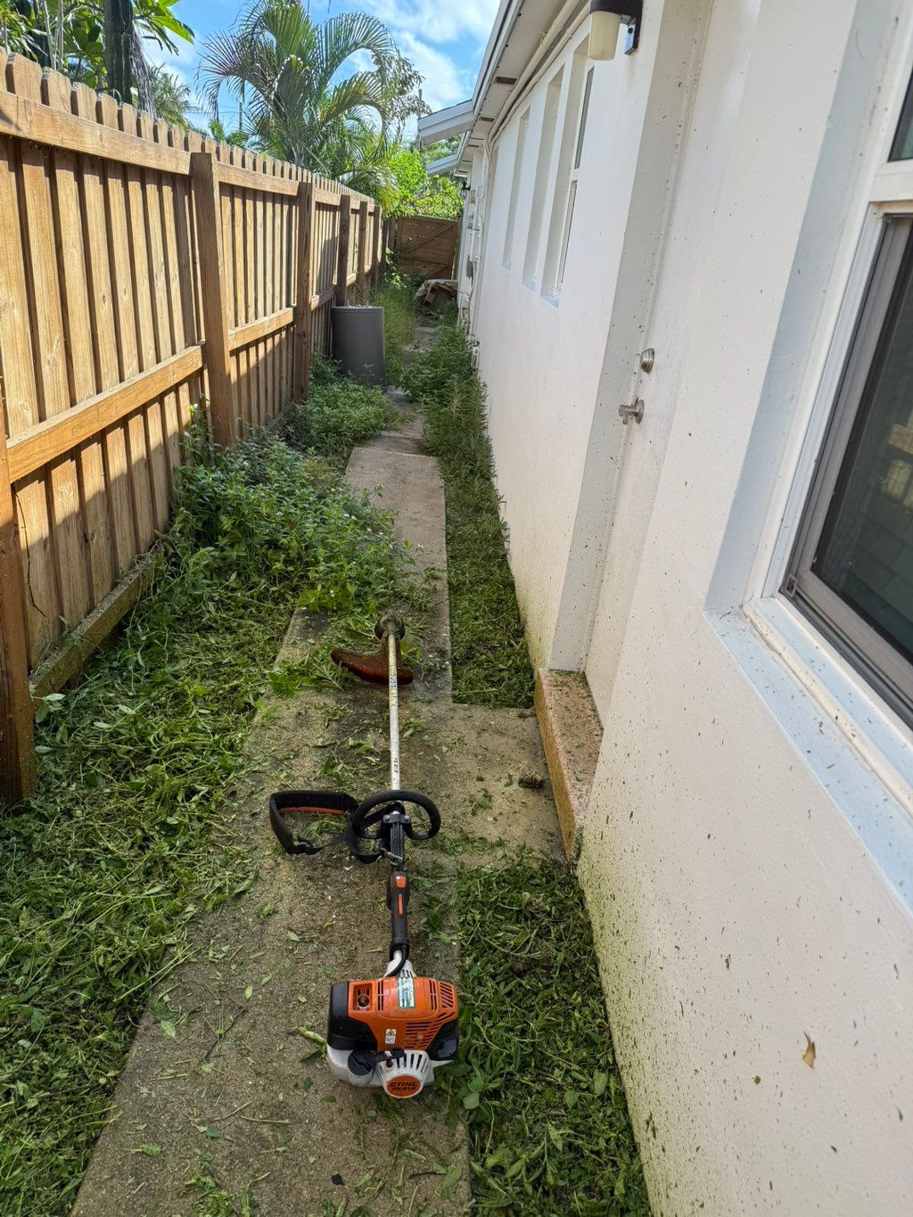 Weed cleanup and make ready for pressure cleaning 