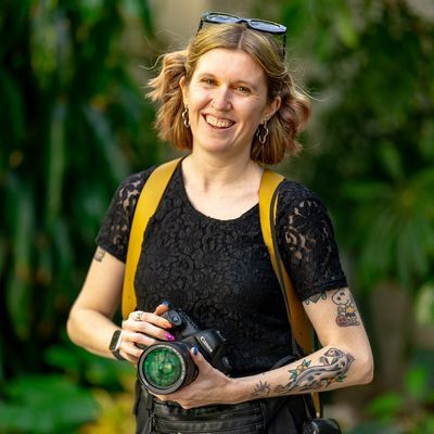 Avatar for Rachel Cantor Photography ✨
