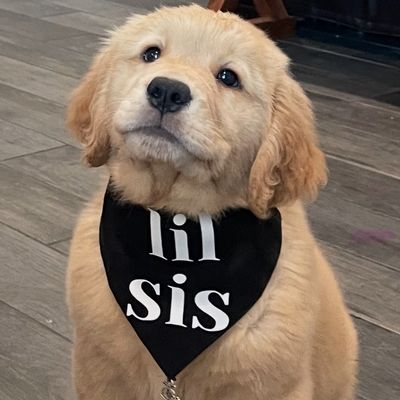 Avatar for Nancy’s Pet Care Service’s