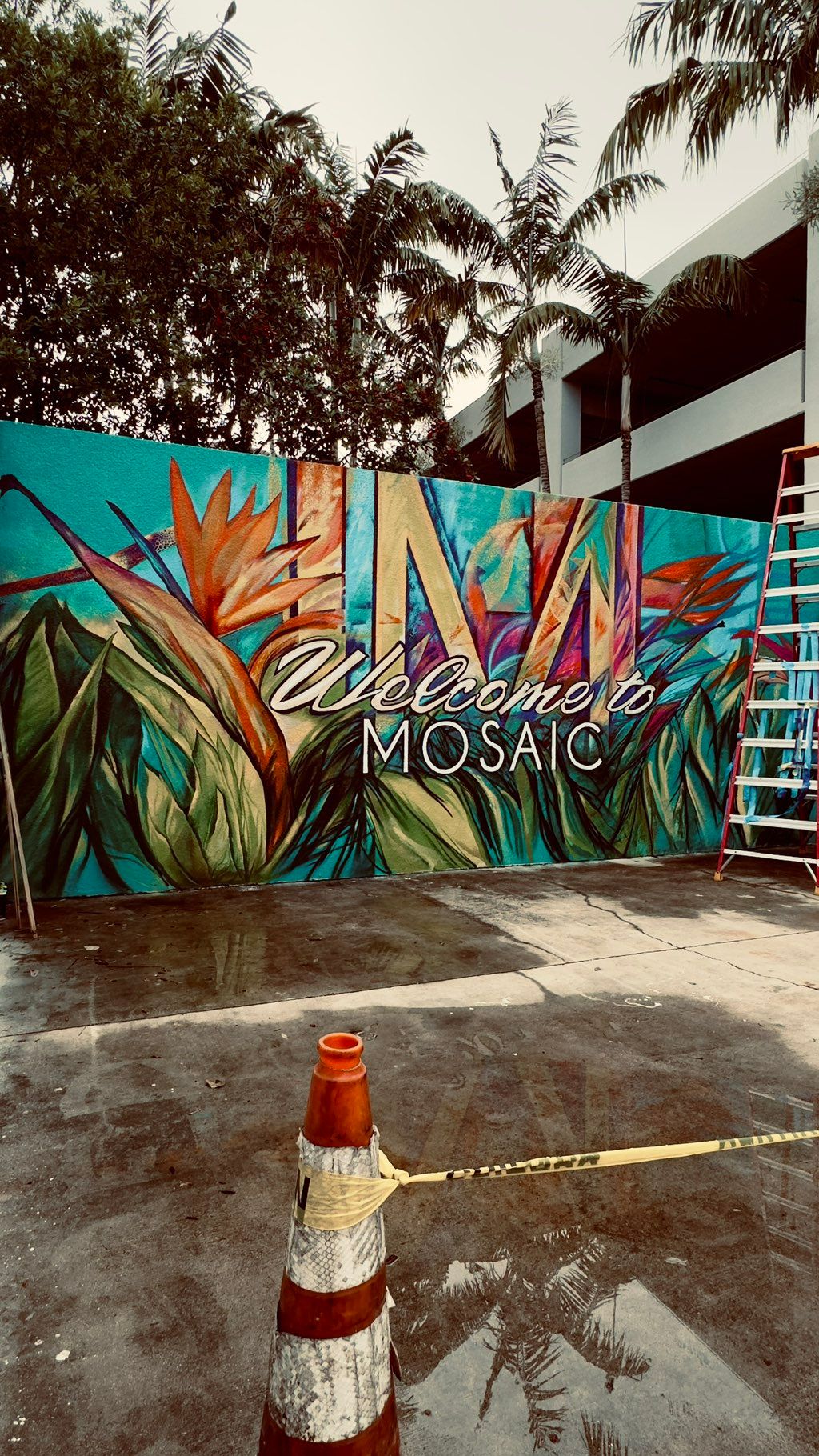Projects and media