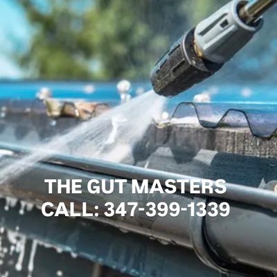 Avatar for THE GUT MASTERS