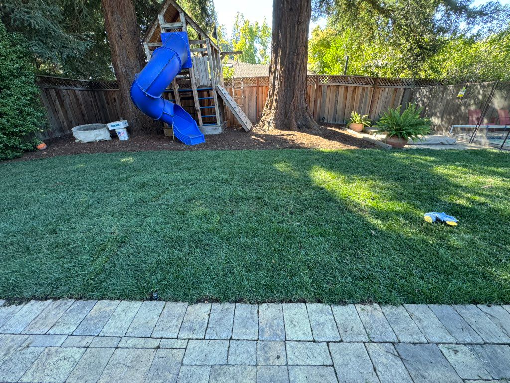 After (New Sod)