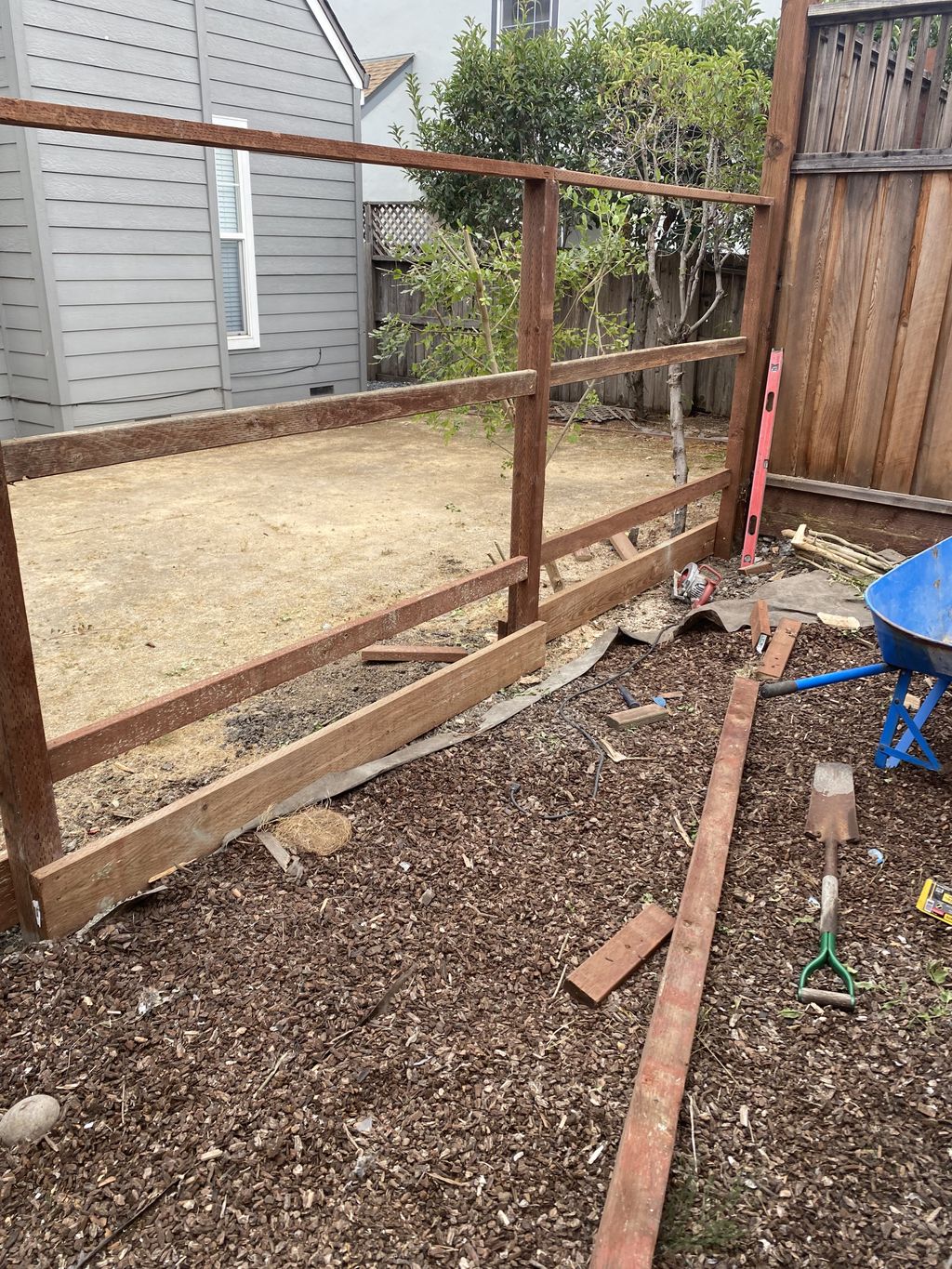 Projects and media