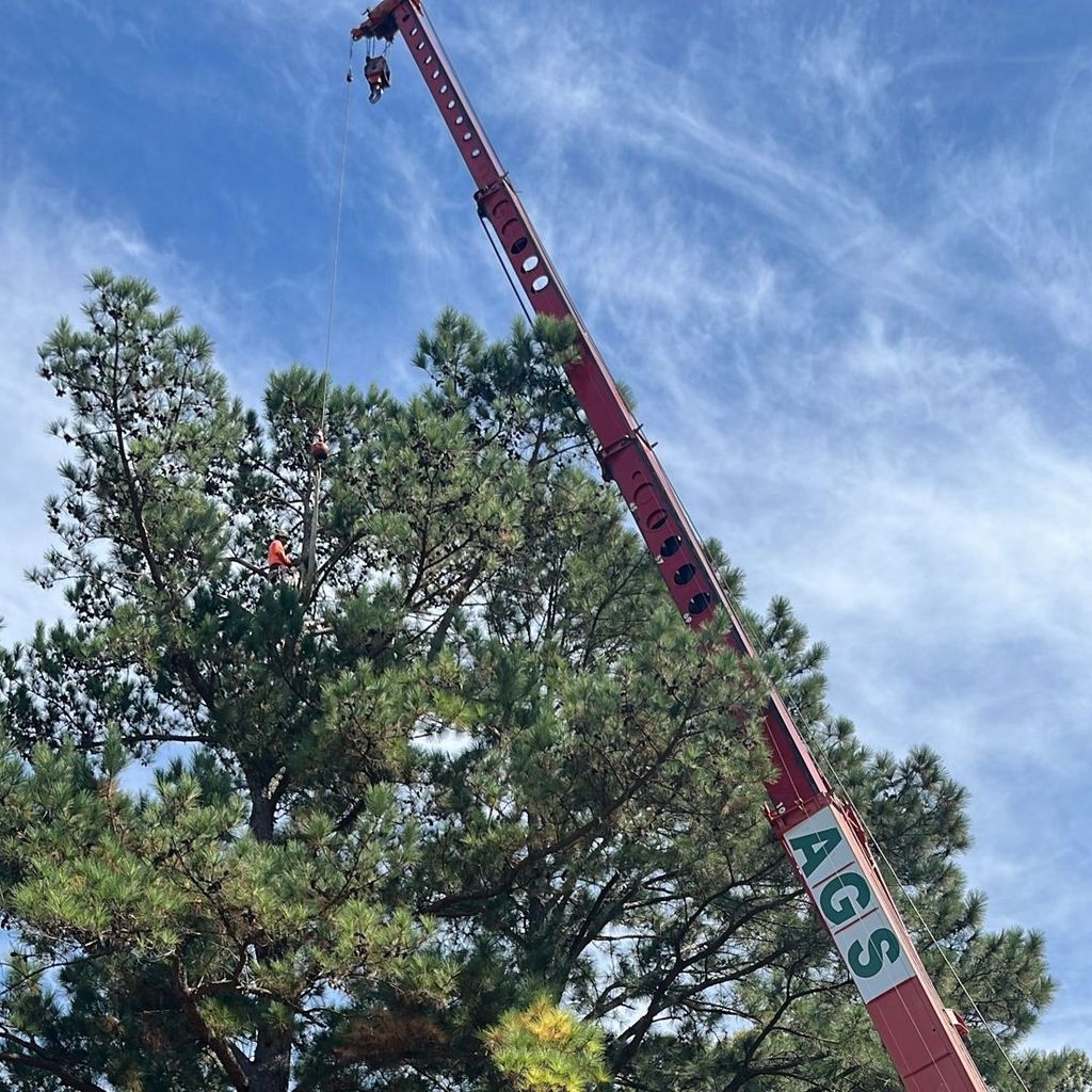 AGS Tree Services