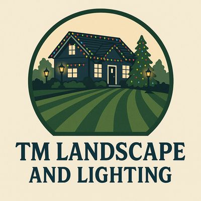Avatar for TM Landscape and Lightning