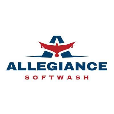 Avatar for Allegiance Softwash