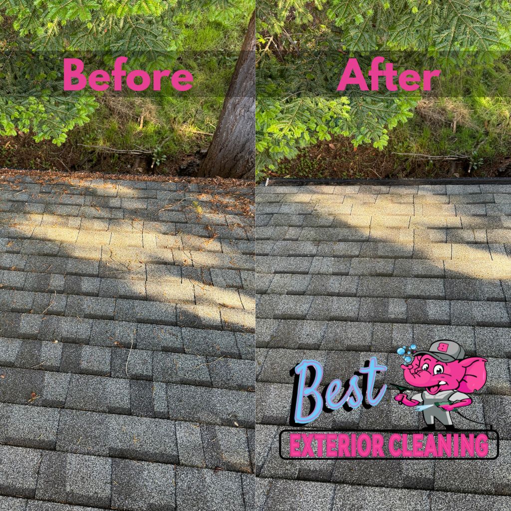 Best Roof Cleaning