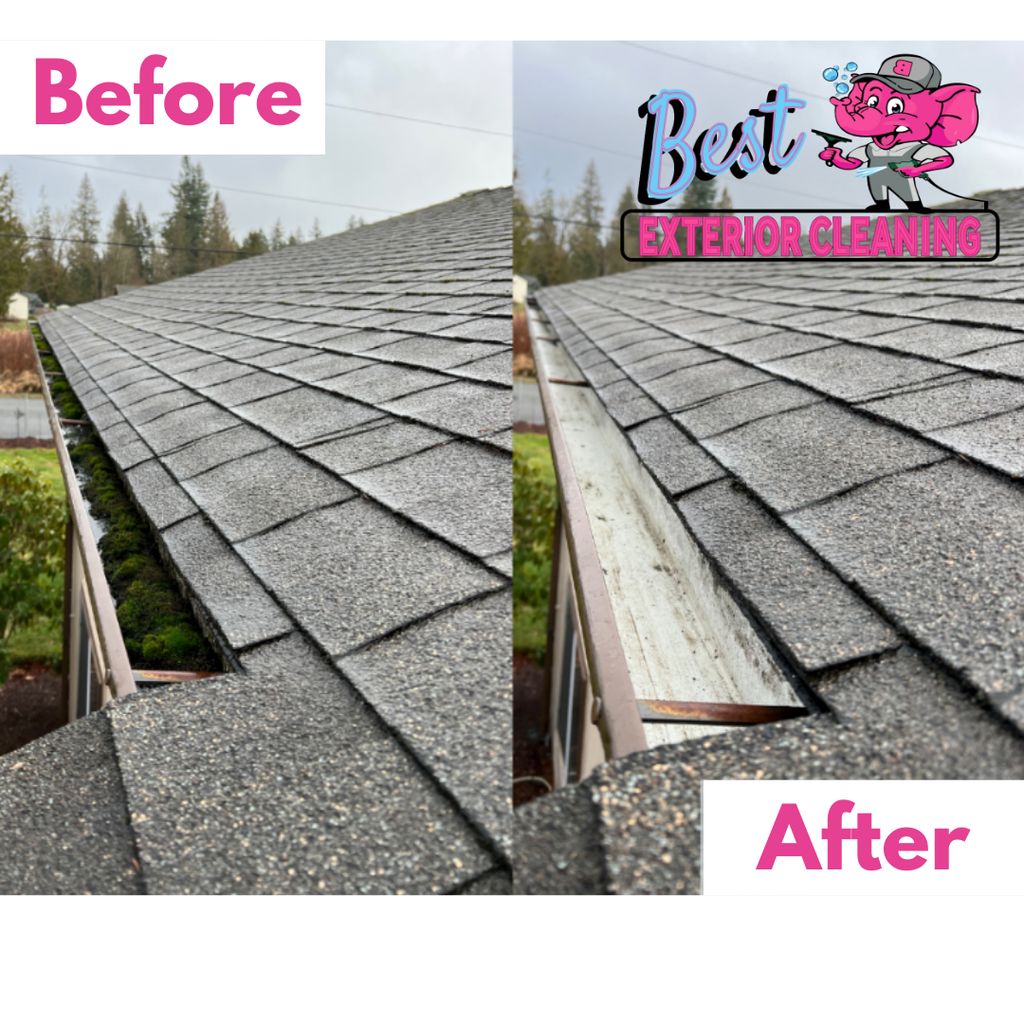 Best Gutter Cleaning