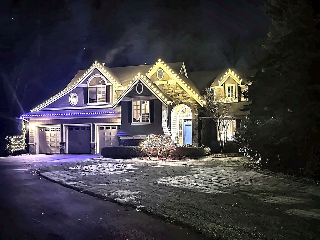 Best Custom Holiday Lights