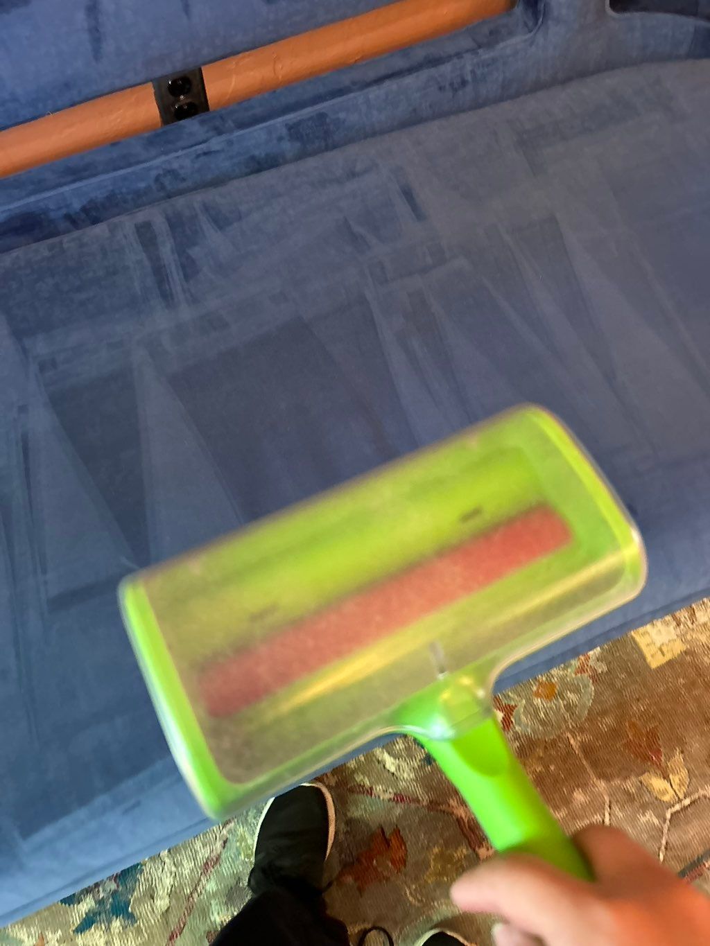 Specialize in removing dog hair from furniture 