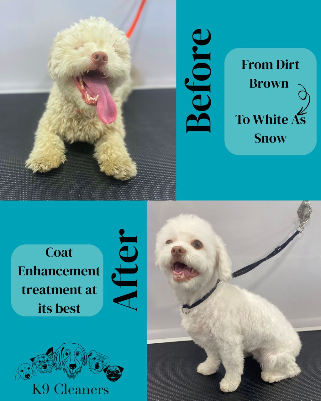 Coat enhancement