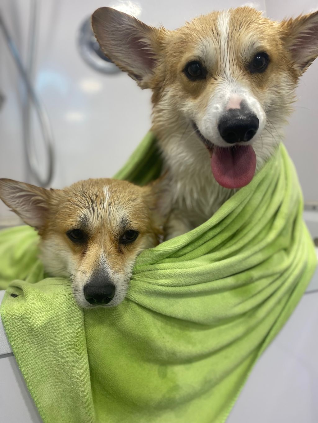 bath buds