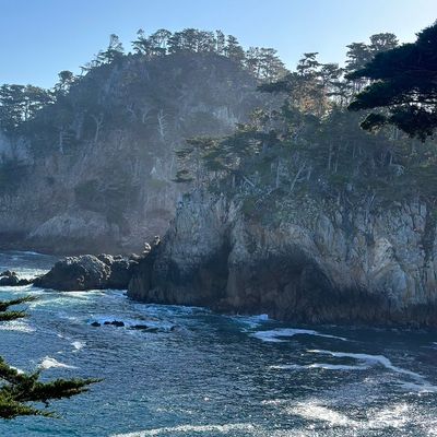 Avatar for Monterey Bay Home Experts