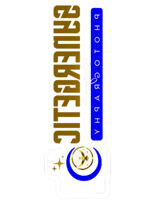 Avatar for Synergetic Designz & Photography