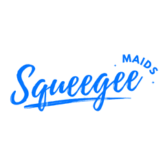Avatar for Squeegee Maids