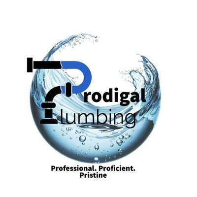 Avatar for Prodigal Plumbing LLC