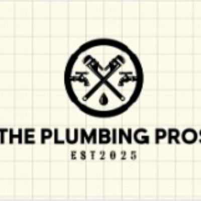 Avatar for The Plumbing Pros