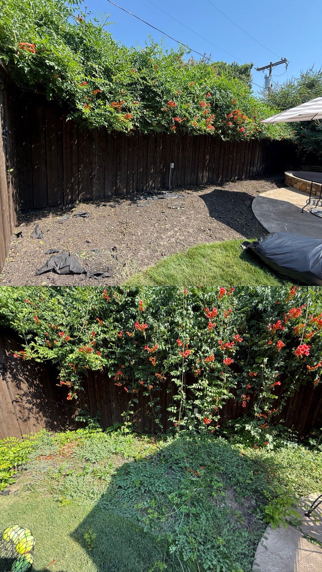 Trimmed up and cleaned out flower bed. 