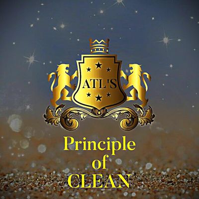 Avatar for ATLANTA PRINCIPLE OF CLEAN