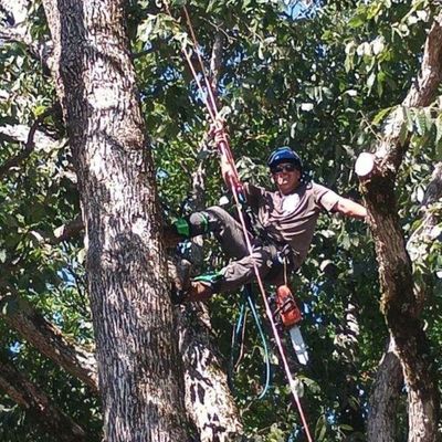 Avatar for Branch Managers