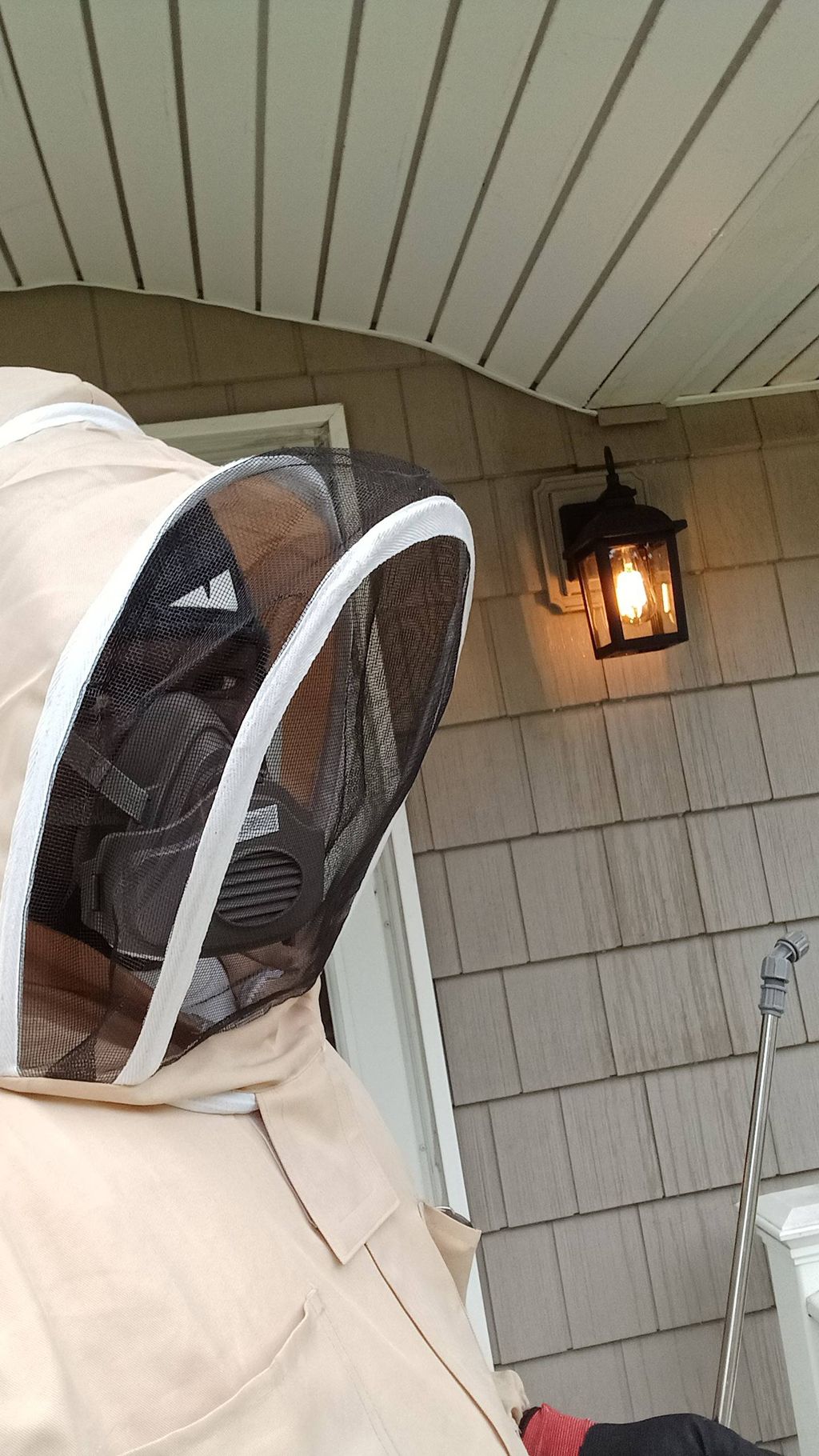 Bee Removal