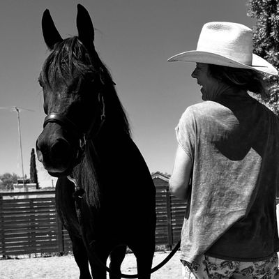 Avatar for Plum Horses