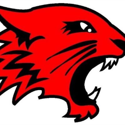 Avatar for Wild Cat Excavation LLC