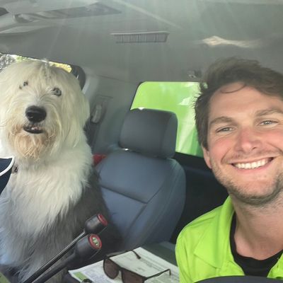 Avatar for Bin There Dump That