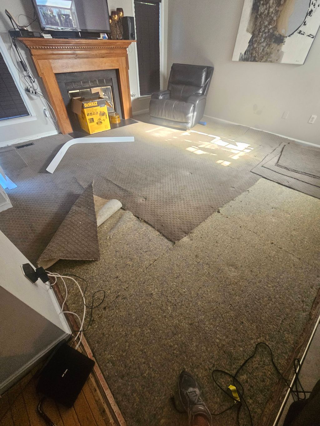 Projects and media