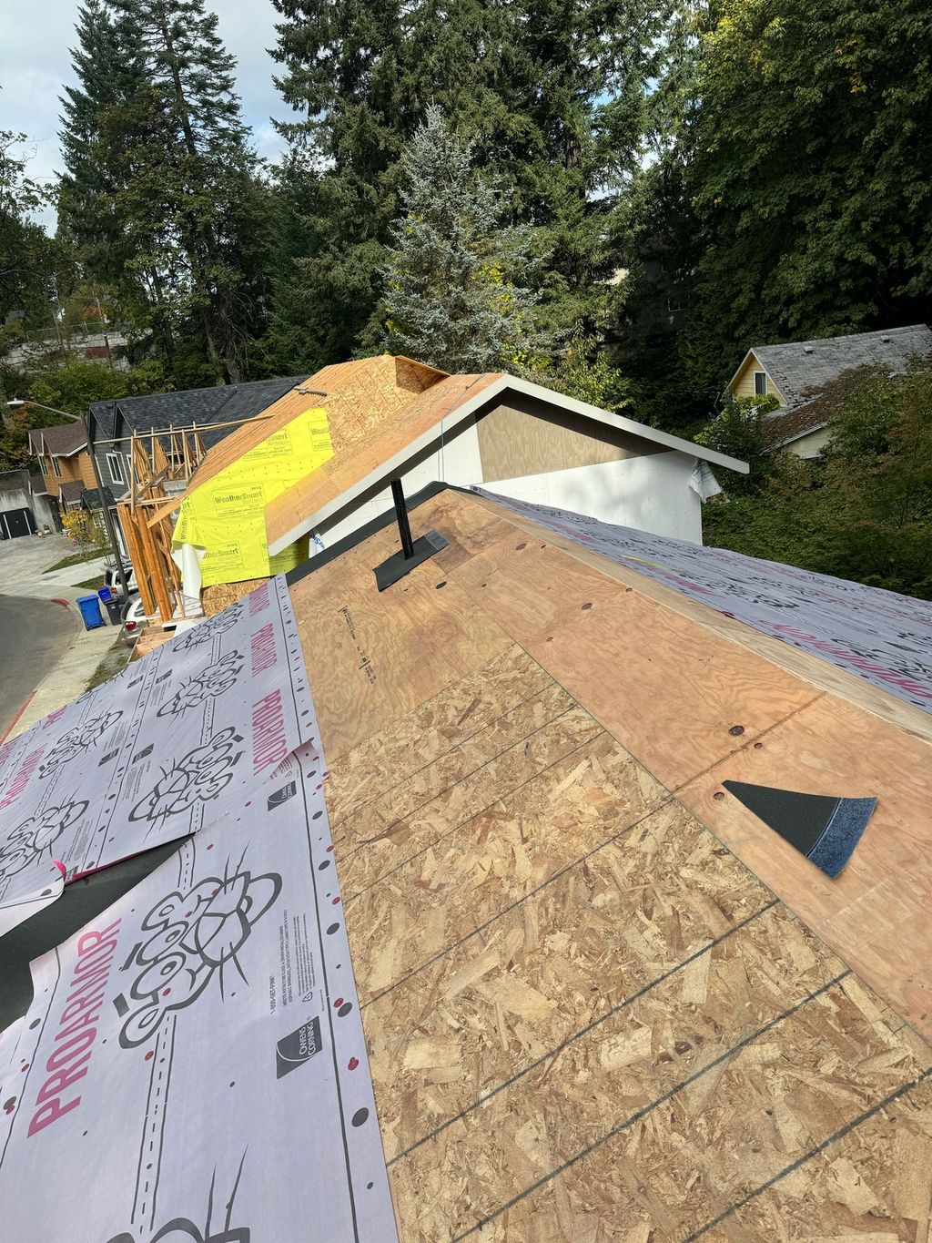 Projects and media