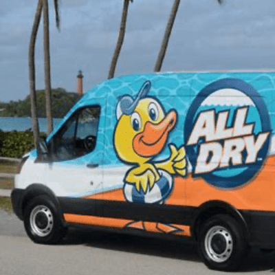 Avatar for All Dry Services of the Palm Beaches