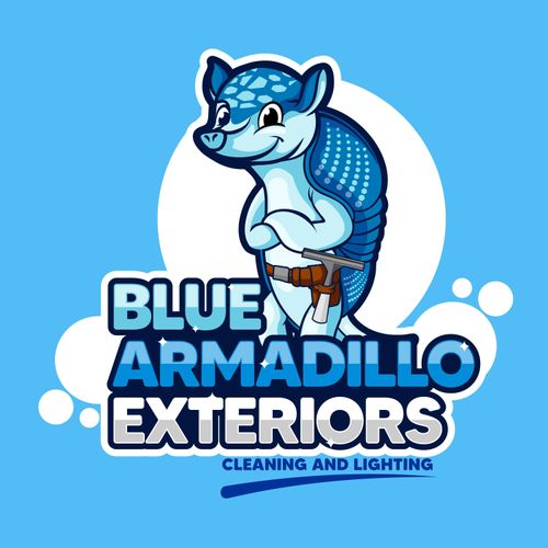 Blue Armadillo Exterior Cleaning