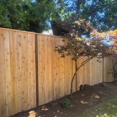 Avatar for Zavala Landscape and Maintenance LLC