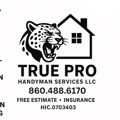 Avatar for True Pro Handyman Services llc