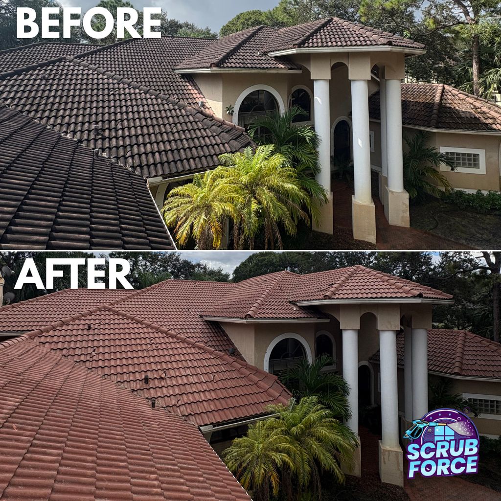 This roof was black with years of buildup — one Sc