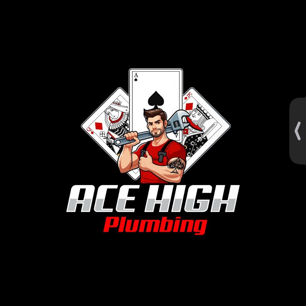 Ace High Plumbing LLC