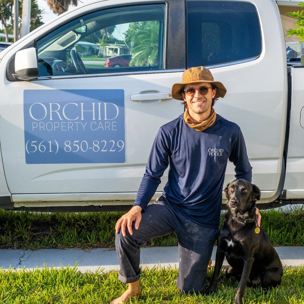 Orchid Pressure Washing