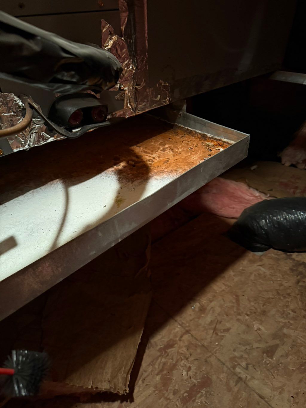 Rusted out drain pan in the attic. 