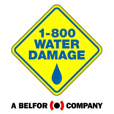 Avatar for 1-800 Water Damage Twin Cities South Metro