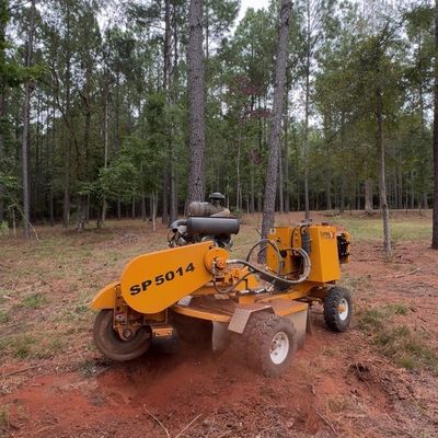 Avatar for Tree Chunkin’ Tree and Stump removal services