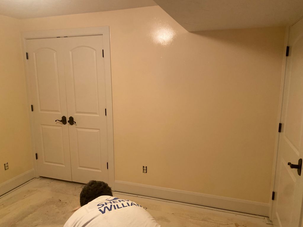 Flooded Room Complete Repaint