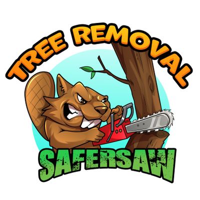 Avatar for safest.saws