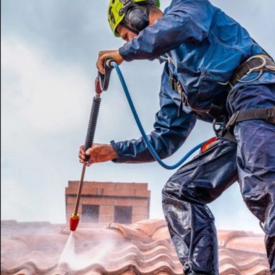 Avatar for Pro cleaning roofing