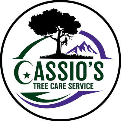 Avatar for Cassio's Tree Care Service *Serious Inquiries*