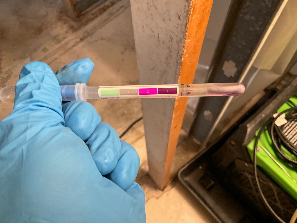 Instant Mold Sample - for determination only