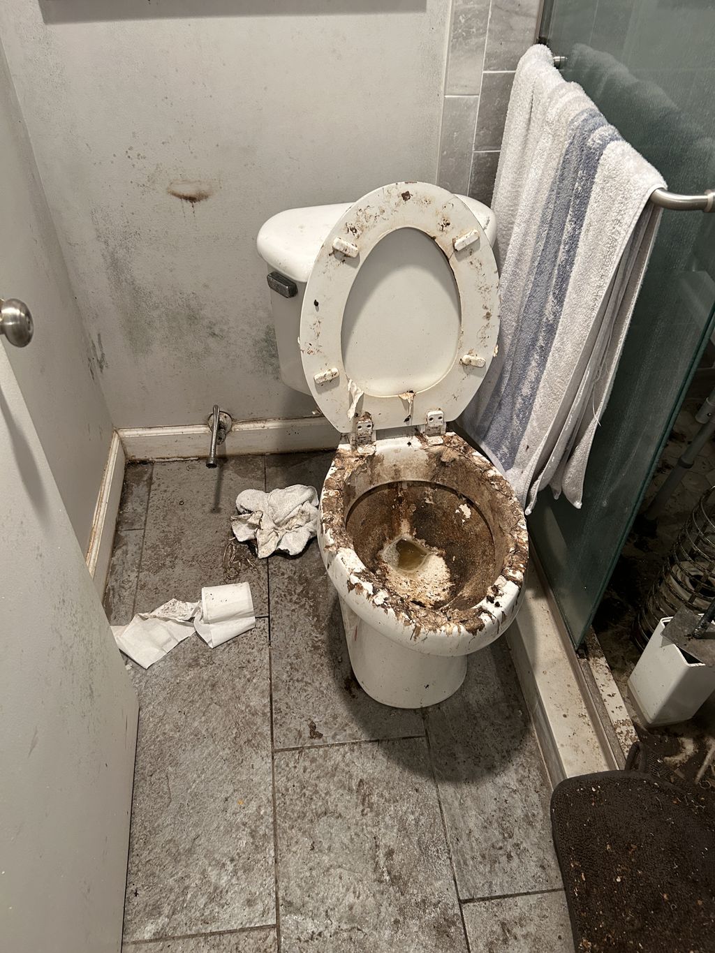 Sewage Assessment