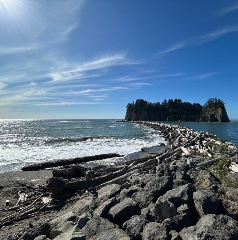 Evergreen Movers And Storage