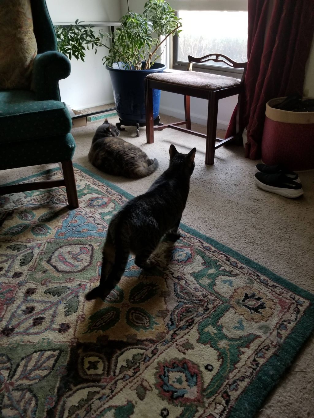 The girls