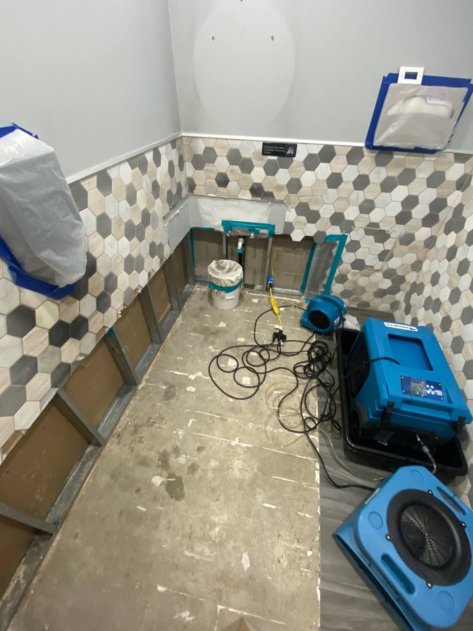 Projects and media